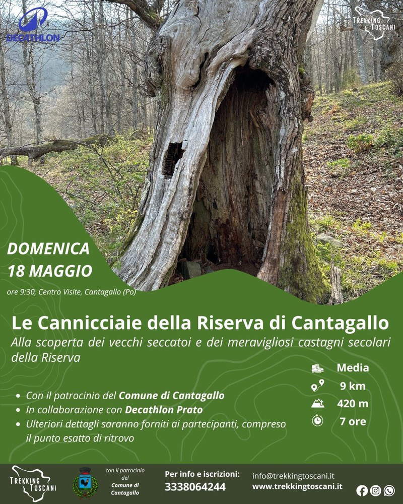 Camminata nella Riserva Naturale di Cantagallo alla scoperta delle Cannicciaie