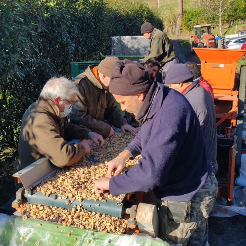 Tra mulini, castagne e sapori antichi: domenica 30 novembre a Gavigno la Sagra della farina dolce